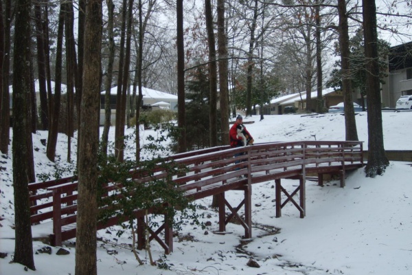 BRIDGE AT CASTALON CRTS- 60 FT